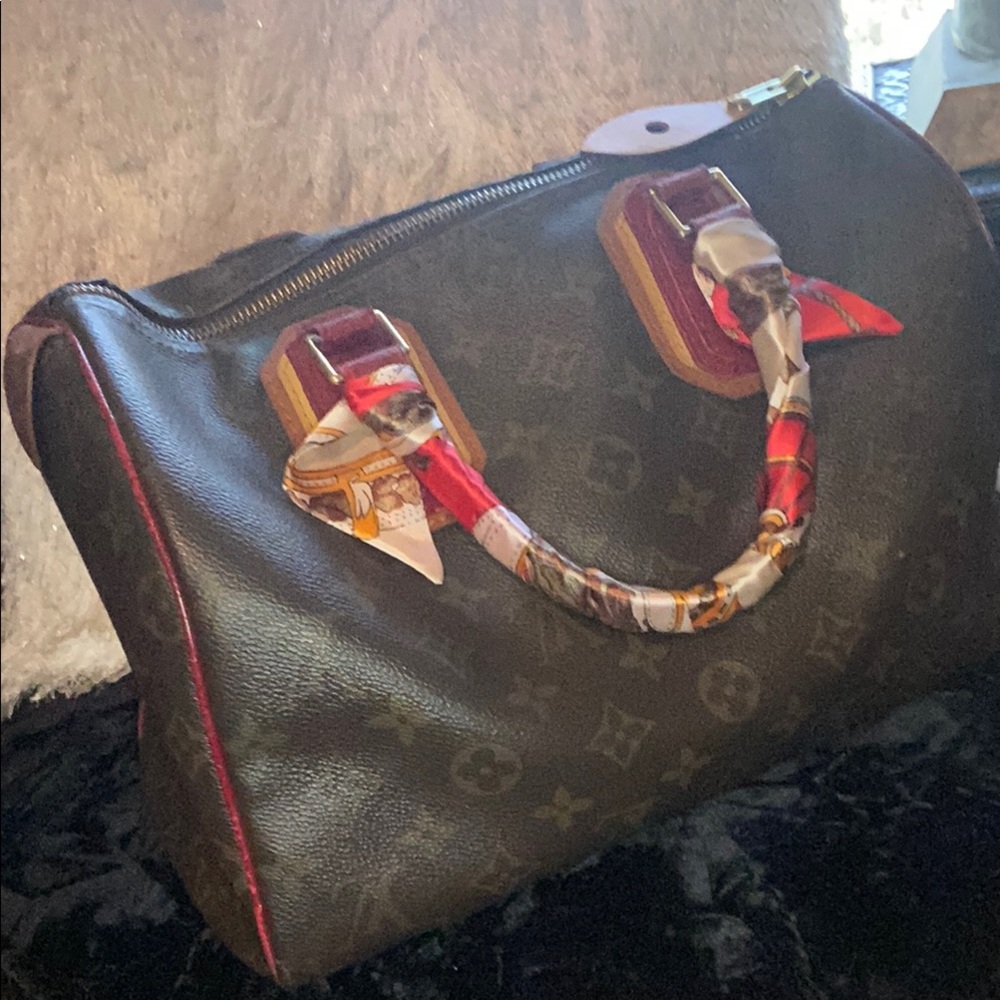 Louis Vuitton Speedy Special Edition Bag - Picture 14 of 16